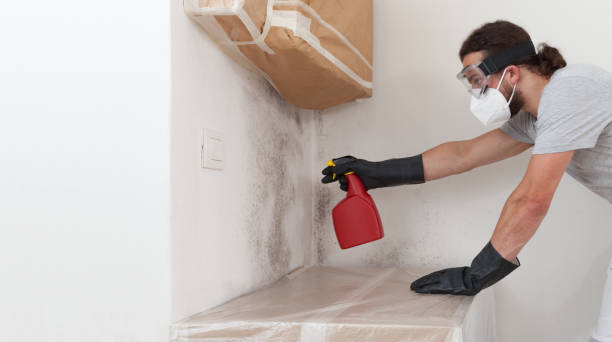 Professional Bathroom Mold Removal technician working in Woodbridge, VA