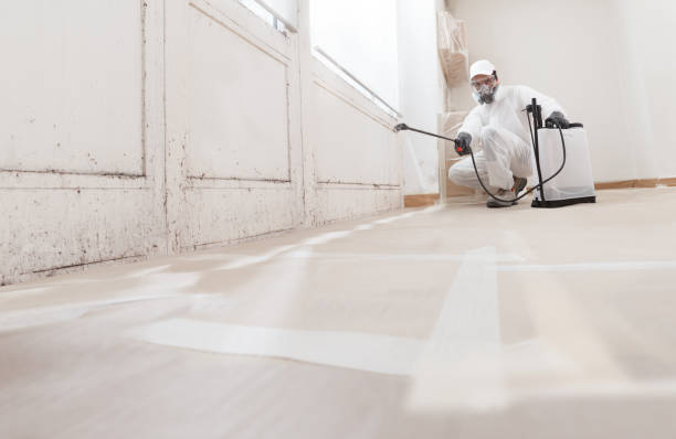 24/7 Emergency Bathroom Mold Removal experts in Woodbridge, VA