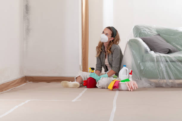 Reliable Bathroom Mold Removal contractor in Woodbridge, VA by 24 Hour Mold Removal