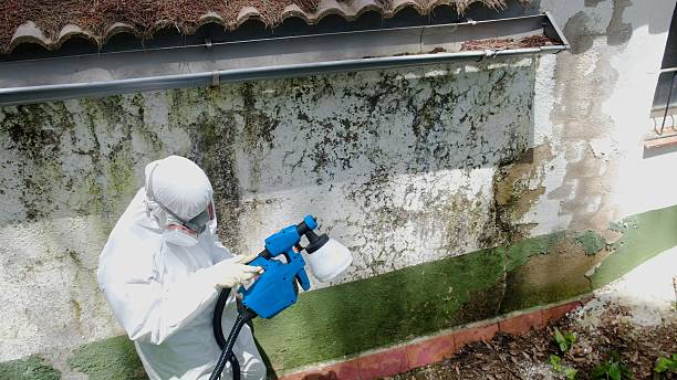 Top rated local Bathroom Mold Removal specialists in Woodbridge, VA